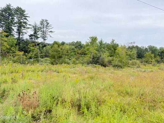 LEE BROOK LN, SALEM, NY 12865 - Image ee6a9441990bb5389b7aa5b98a5cb7fb/4142525375