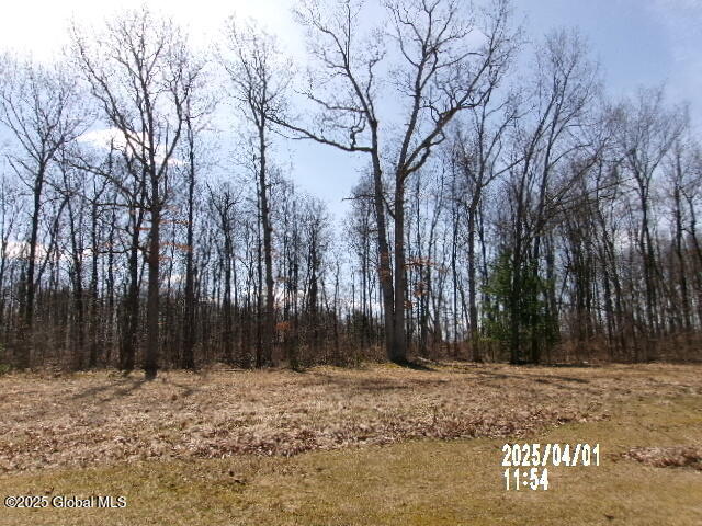 90 Blackhouse Road, Fort Edward, New York image 6