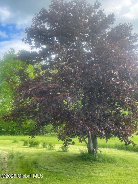 90 Blackhouse Road, Fort Edward, New York image 32