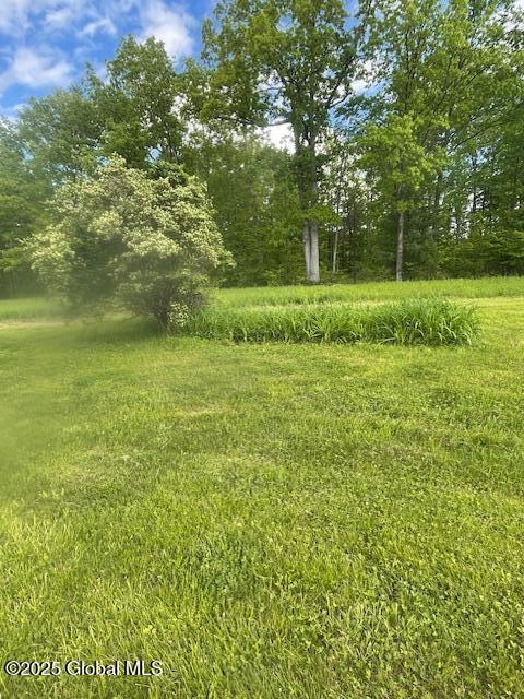 90 Blackhouse Road, Fort Edward, New York image 27