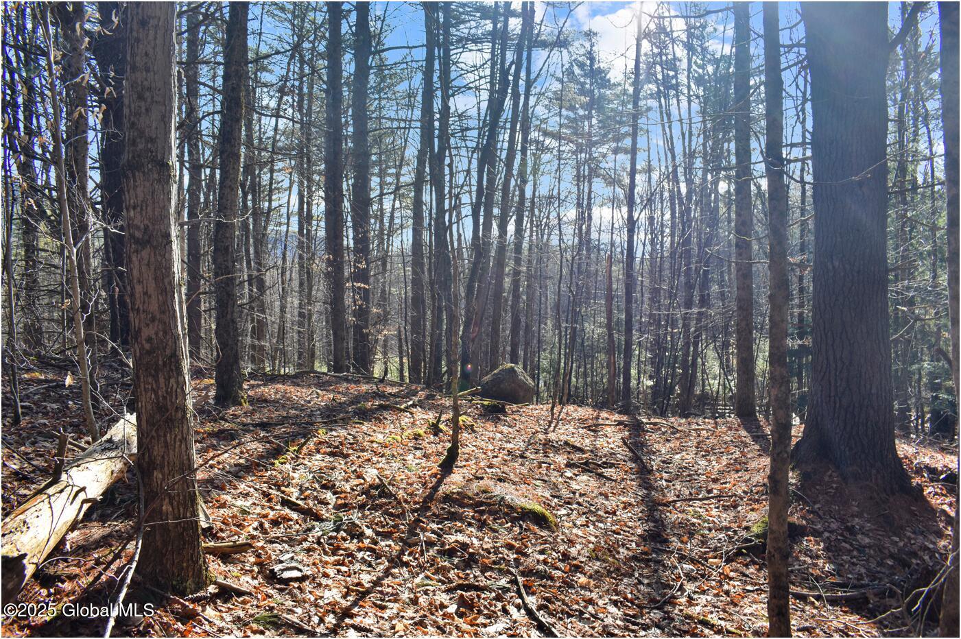 L9 New Hague Road, Hague, New York image 41