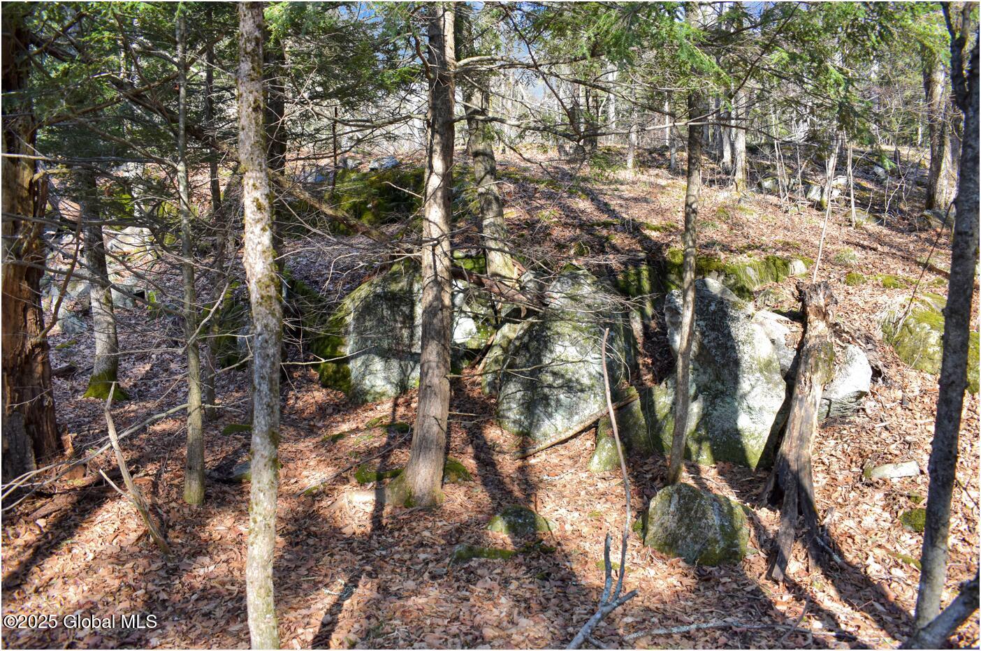 L9 New Hague Road, Hague, New York image 33