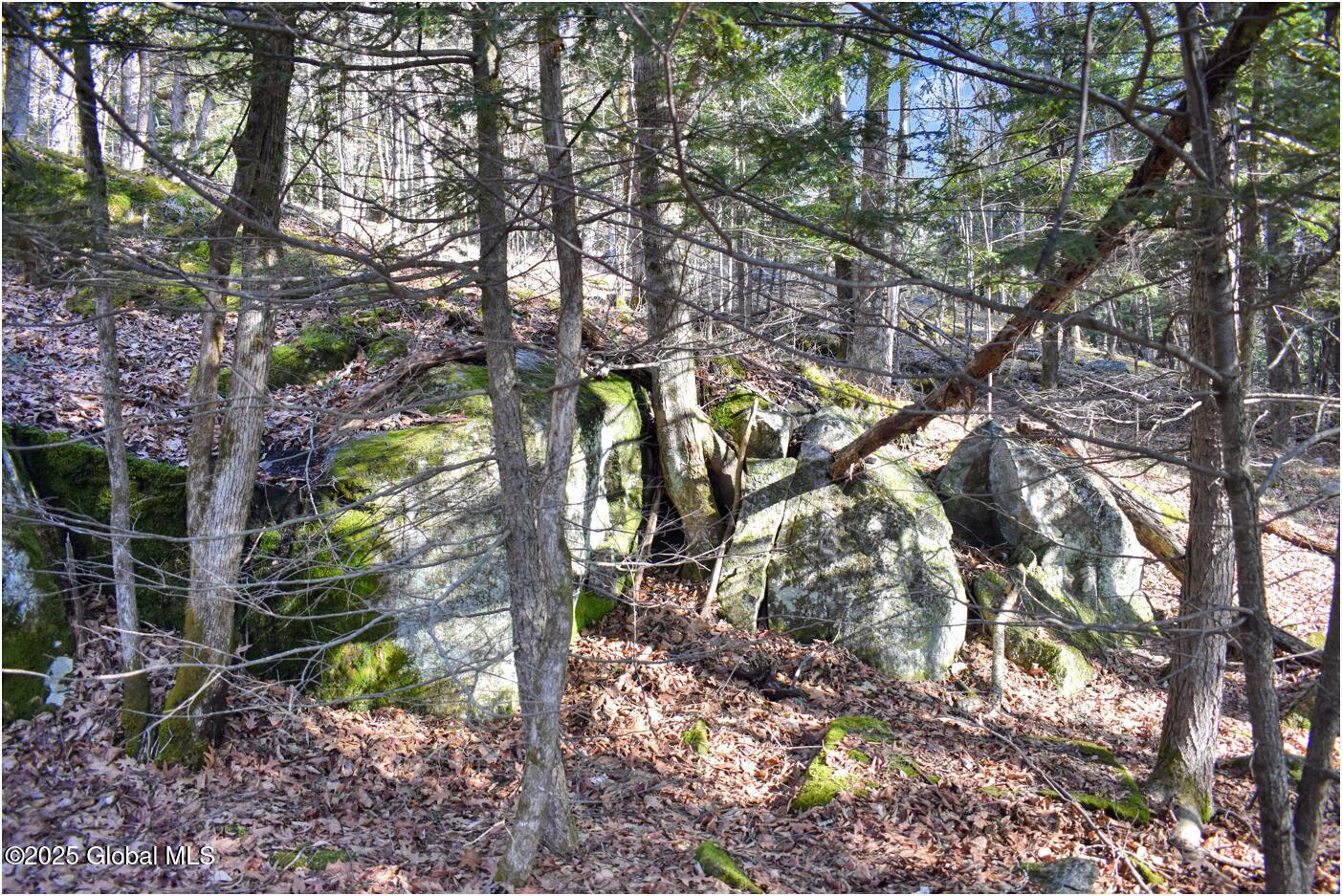 L9 New Hague Road, Hague, New York image 31