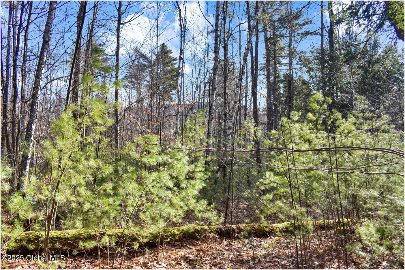 L9 New Hague Road, Hague, New York image 11