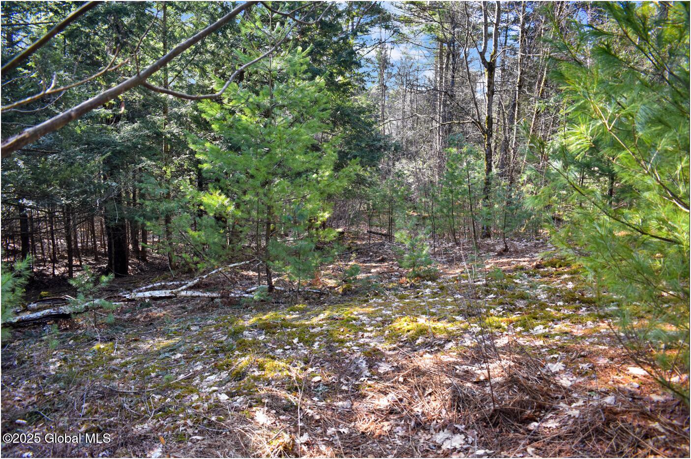 L9 New Hague Road, Hague, New York image 18