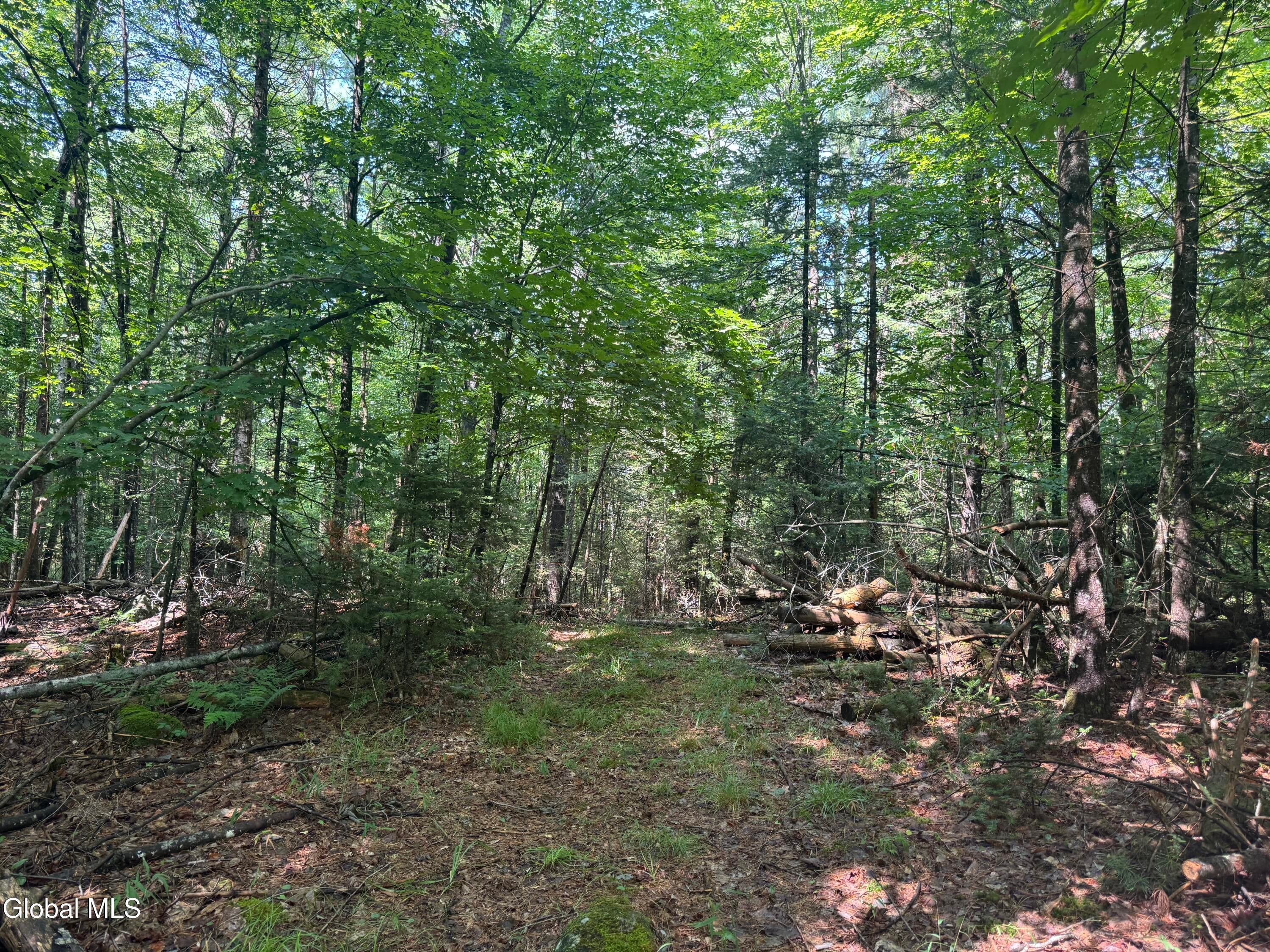 1338 River Road