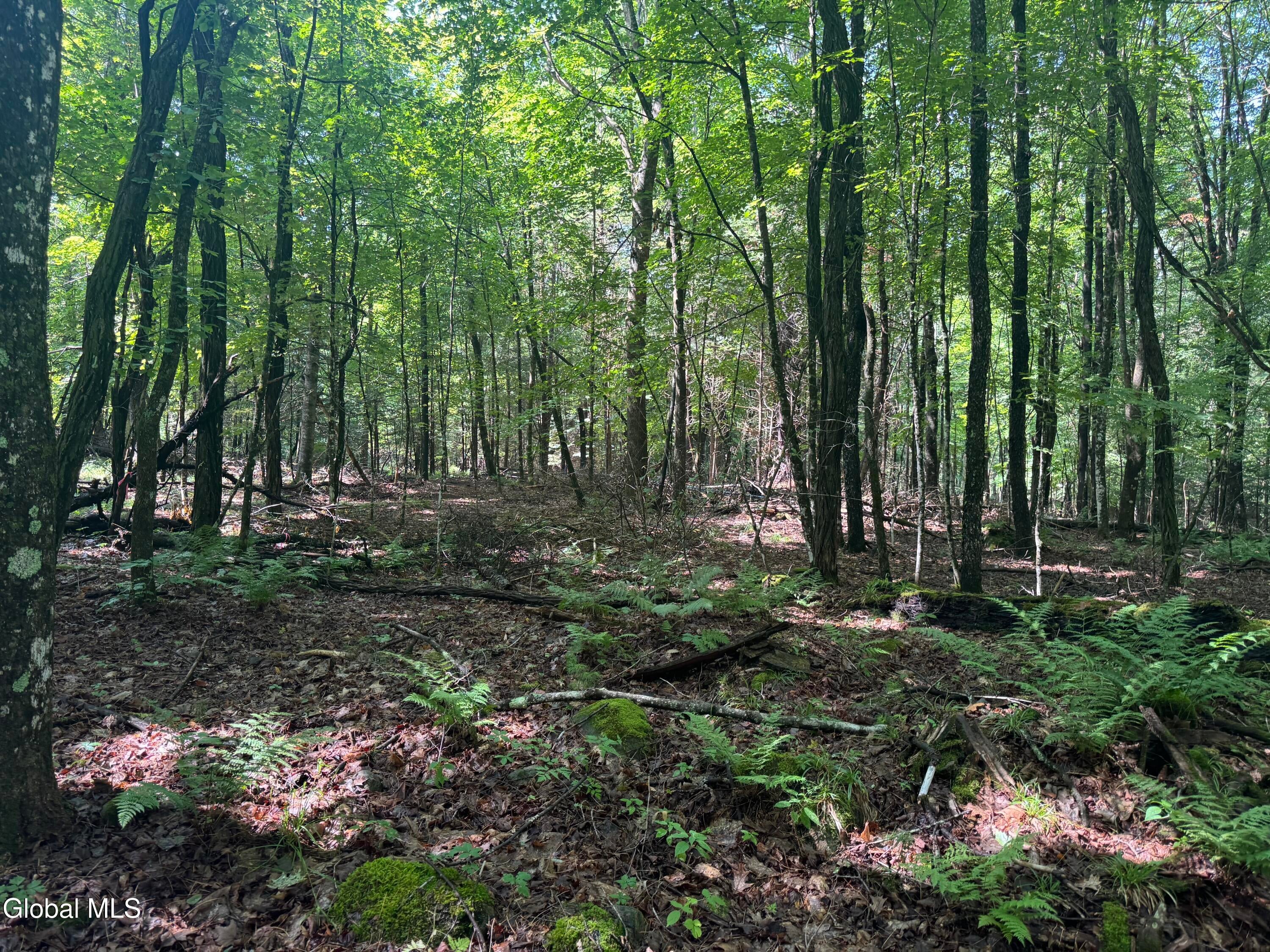 1338 River Road