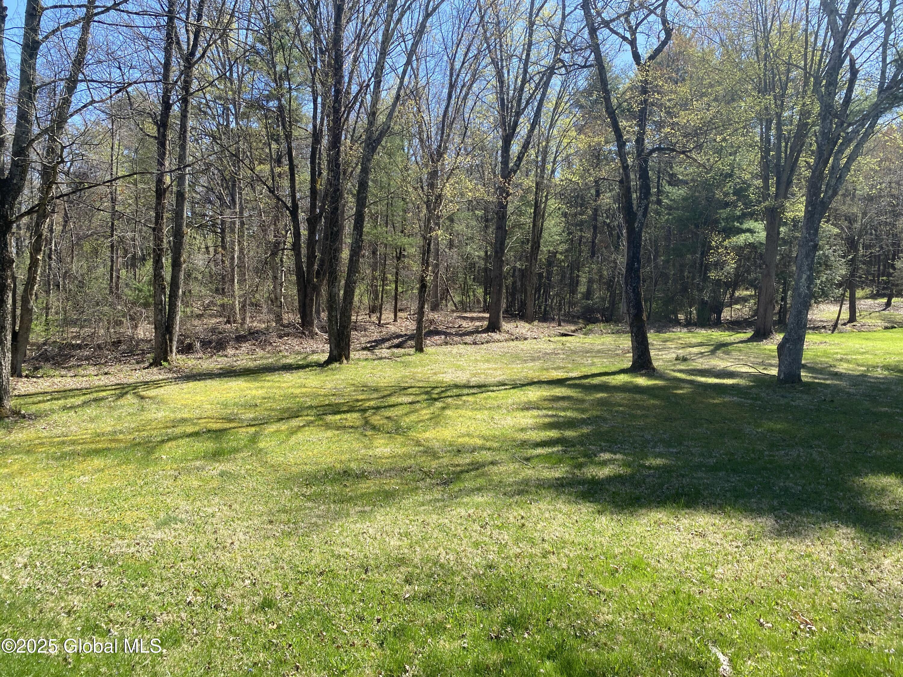 92 Dubois Lane, Rexford, New York image 1
