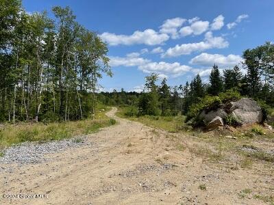 L83 Fox Hill Road Rear, Corinth, New York image 1