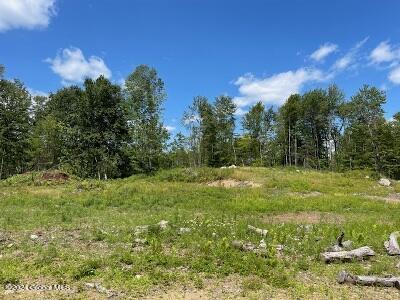 L83 Fox Hill Road Rear, Corinth, New York image 4