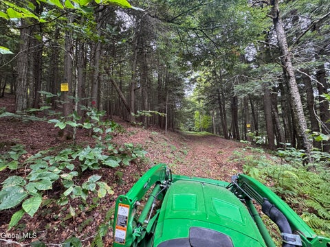 Vacant Land For Sale - L37 Charley Hill Road<br/> Essex County, Schroon Lake, NY 12870