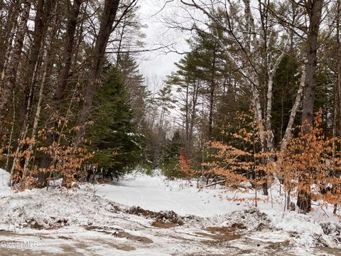 Photo of 0 Moffitt Road, Chestertown, NY 12817 (MLS # 202530774)