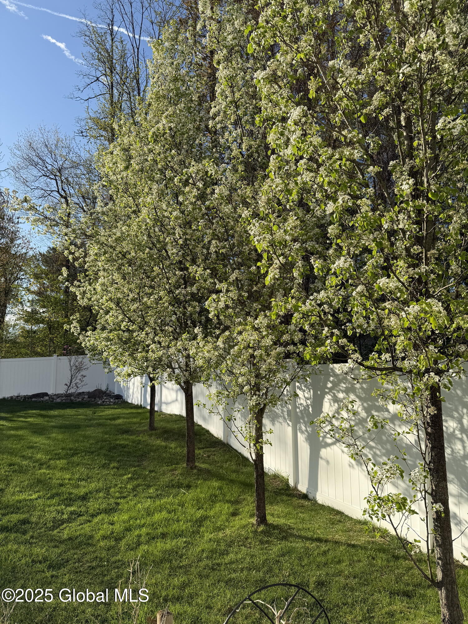 309 Westwoods Court, Albany, New York image 21