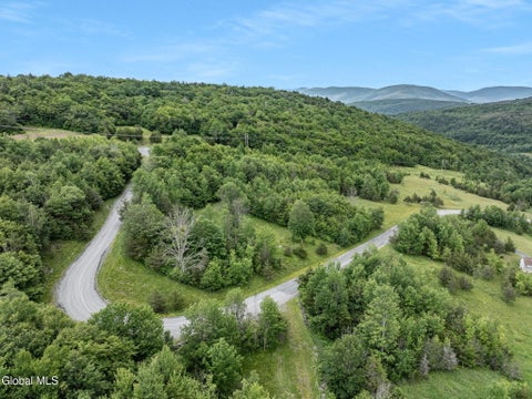 Photo of L40 Overlook Drive, Prattsville, NY 12452 (MLS # 202623620)