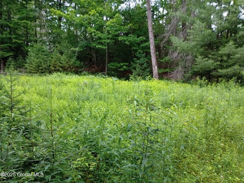 Vacant Land For Sale - L30 Lane Road<br/> Warren County, Minerva, NY 12853