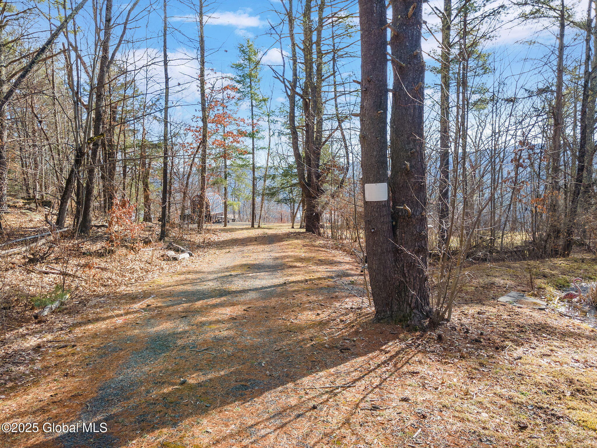 224 Tae Kwon Road, North Blenheim, New York image 49