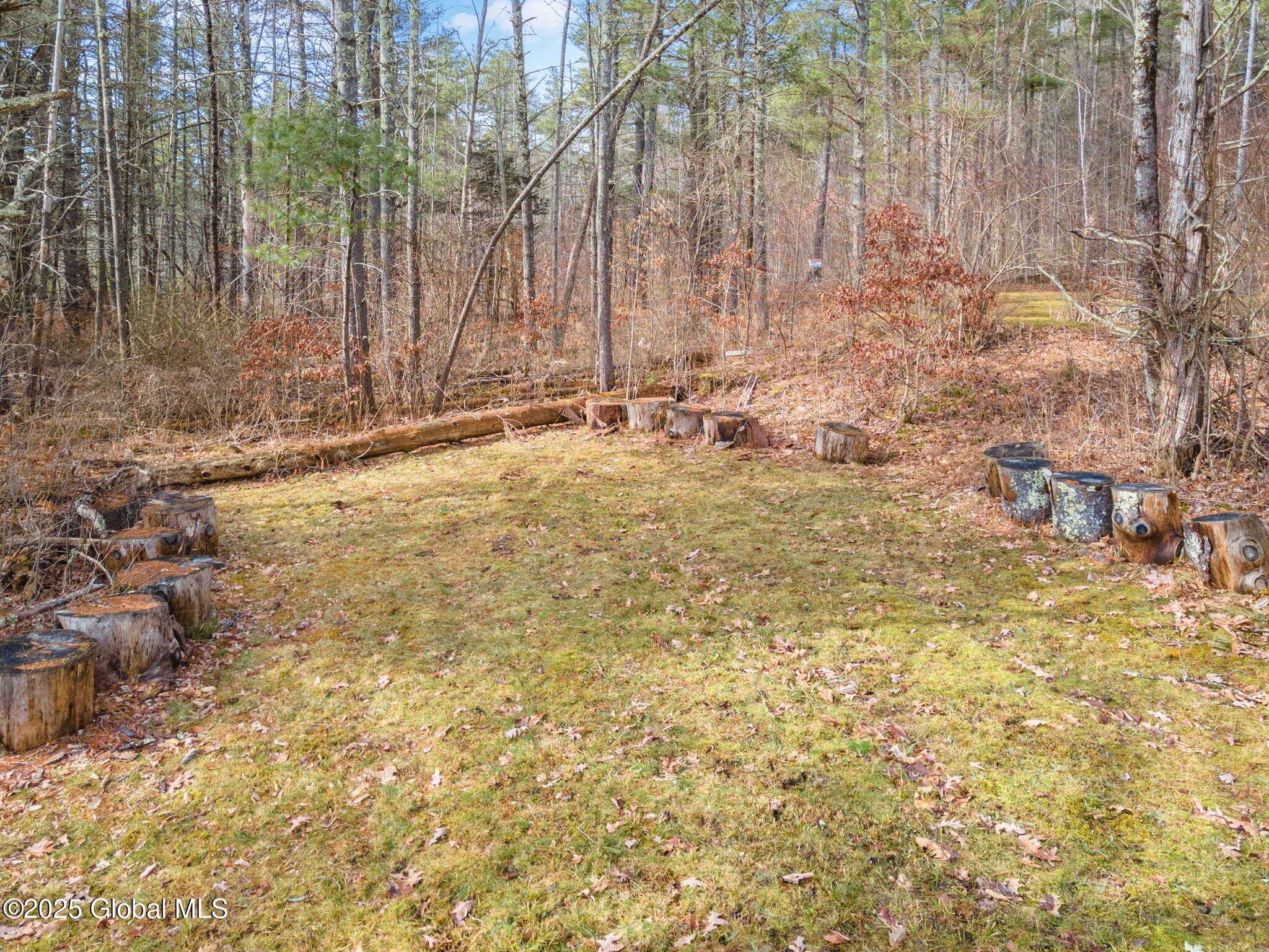 224 Tae Kwon Road, North Blenheim, New York image 43