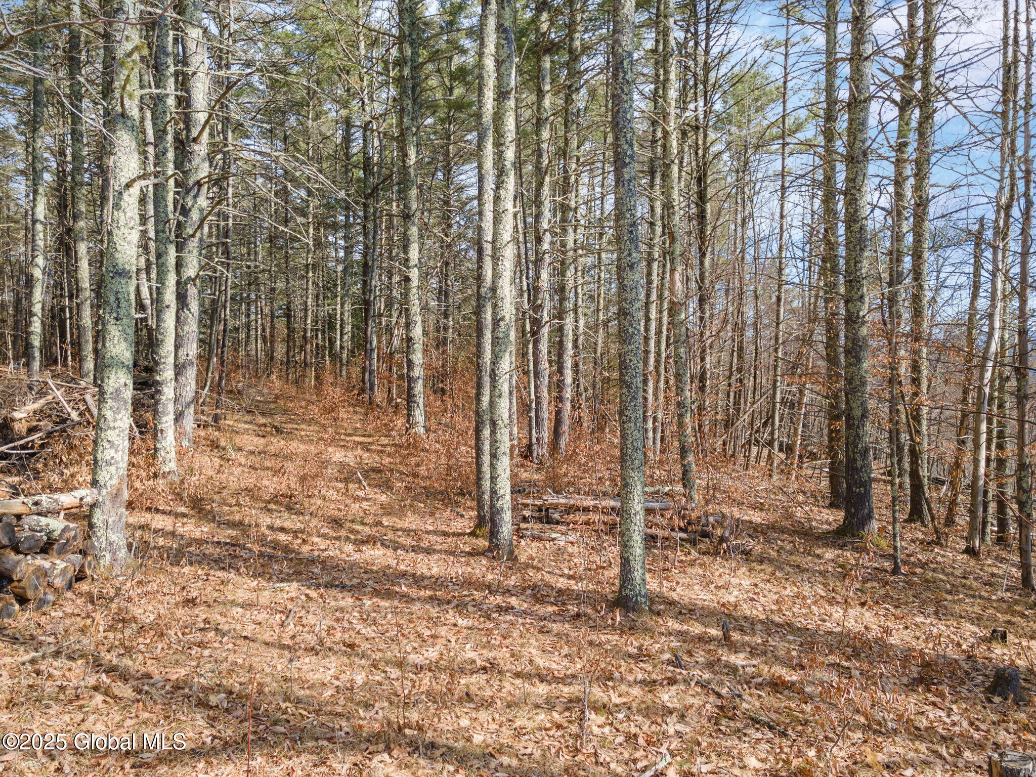 224 Tae Kwon Road, North Blenheim, New York image 41