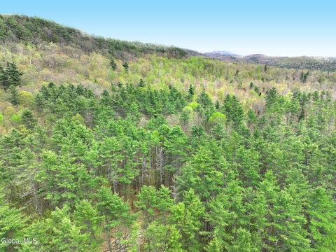 Vacant Land For Sale - 549 Alden Avenue<br/> Warrensburg, NY 12885