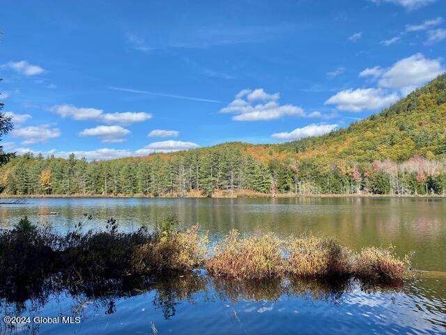 35 Mountain Path, North Creek, New York image 4