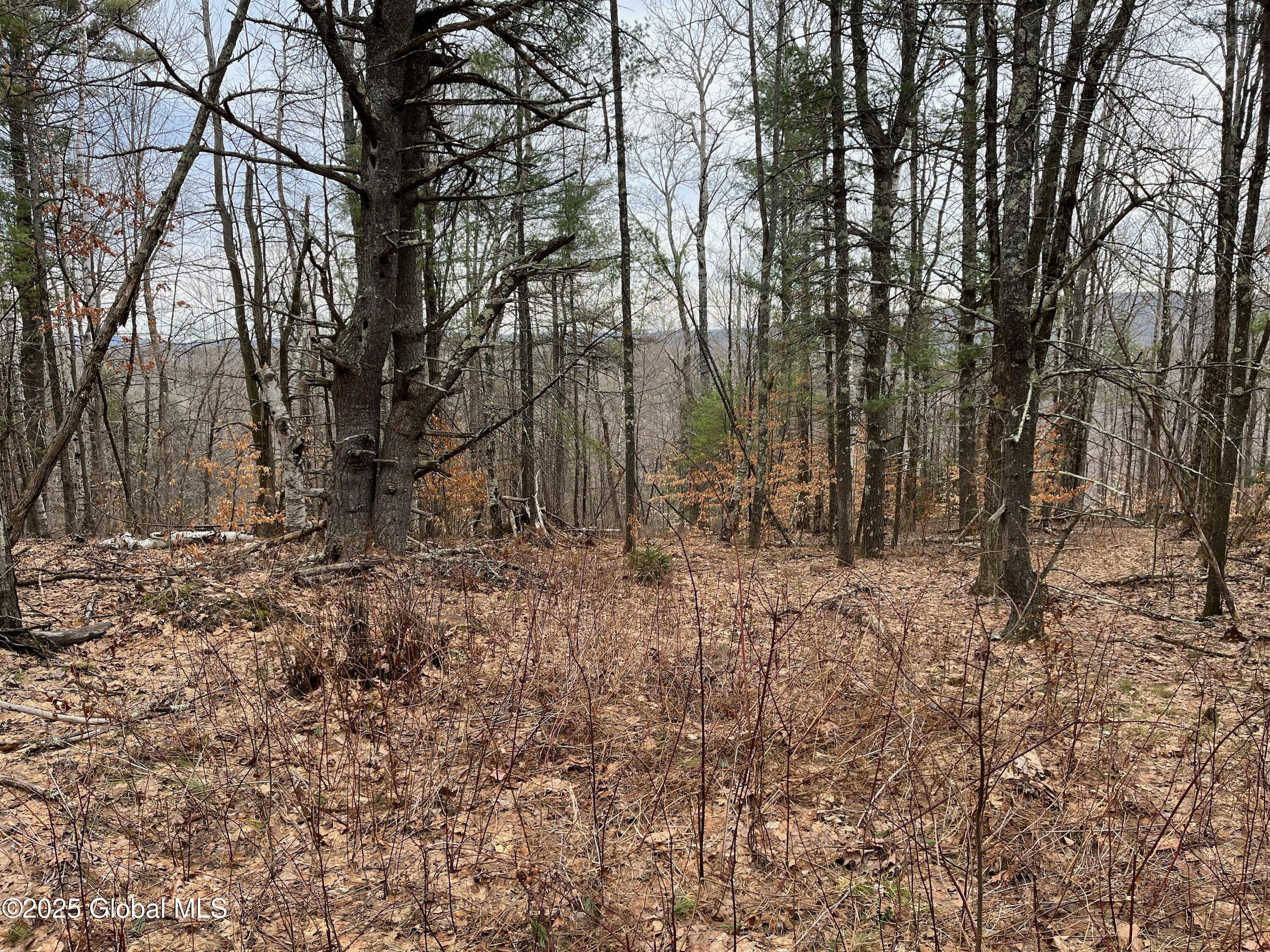 L9 Laura Ln #L9, Middleburgh, New York image 2