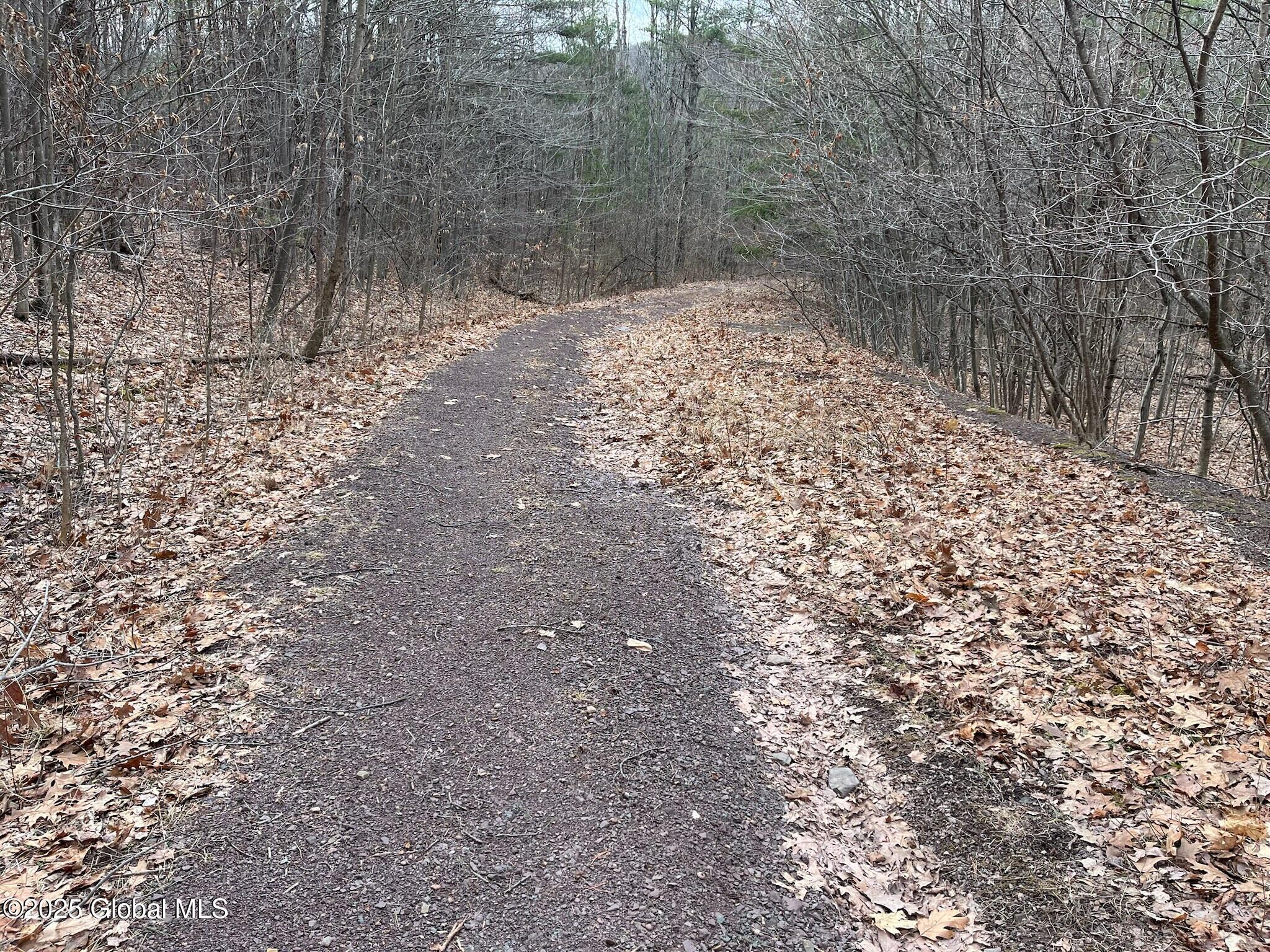 L9 Laura Ln #L9, Middleburgh, New York image 6