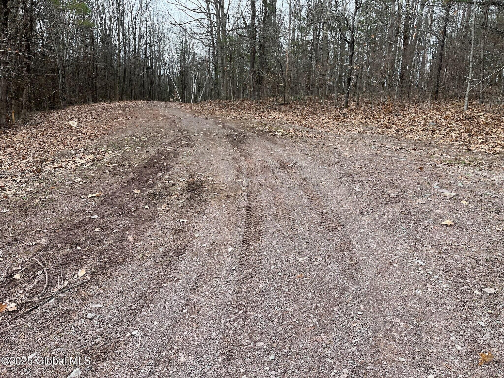 L9 Laura Ln #L9, Middleburgh, New York image 3