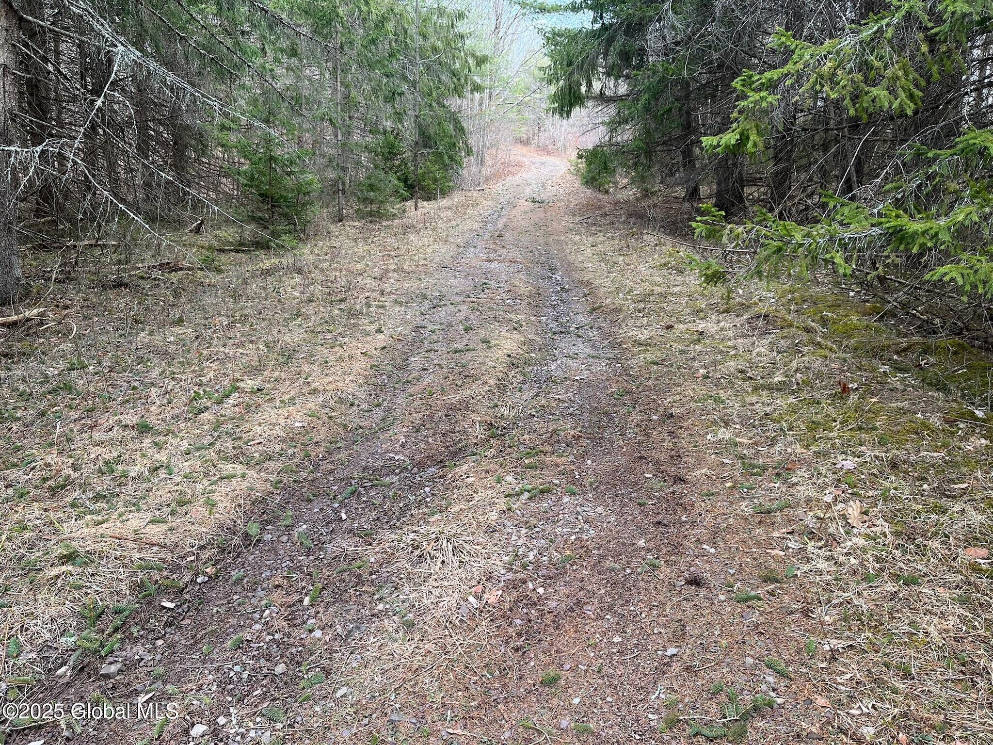 L9 Laura Ln #L9, Middleburgh, New York image 8