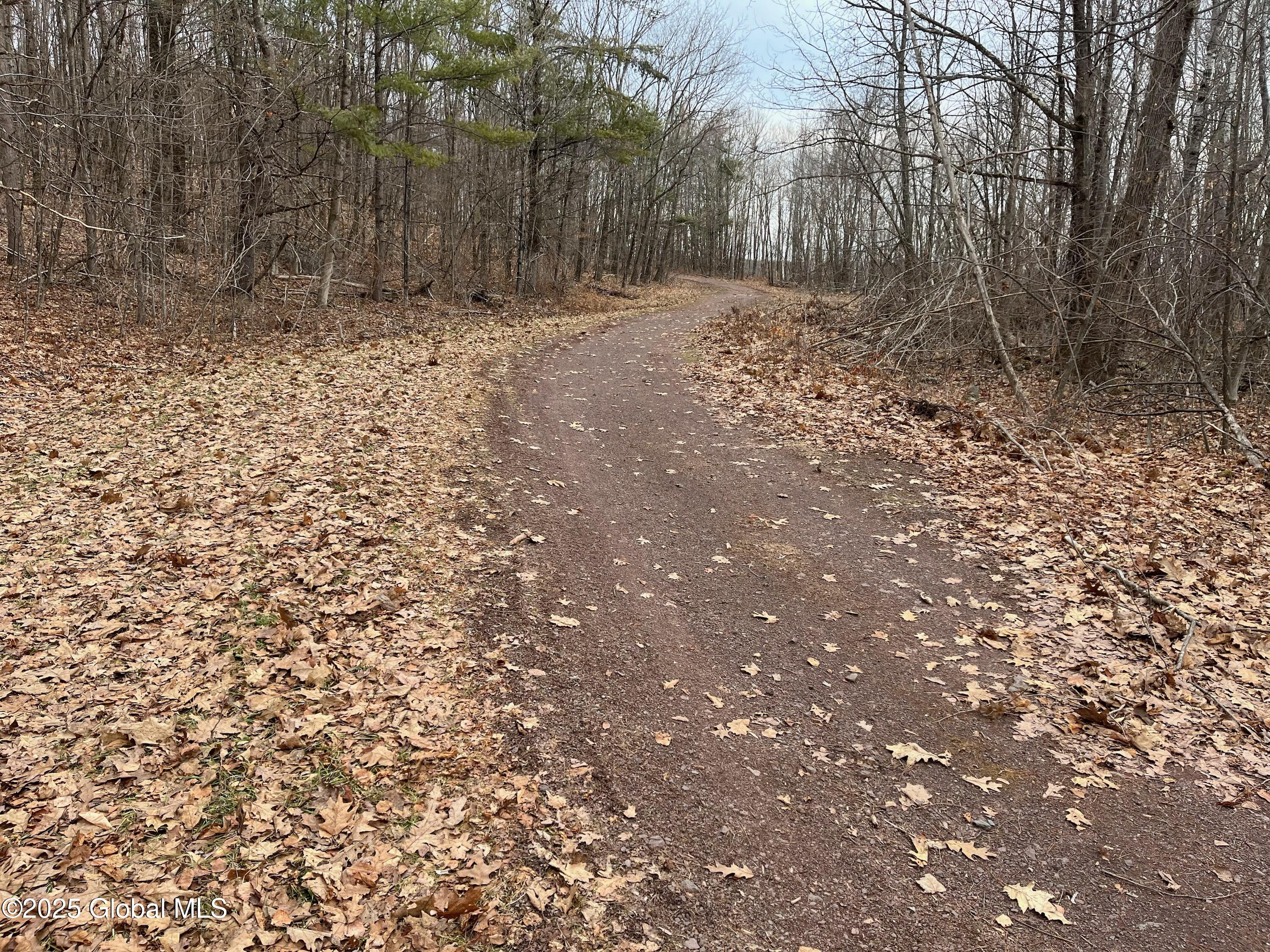 L9 Laura Ln #L9, Middleburgh, New York image 4