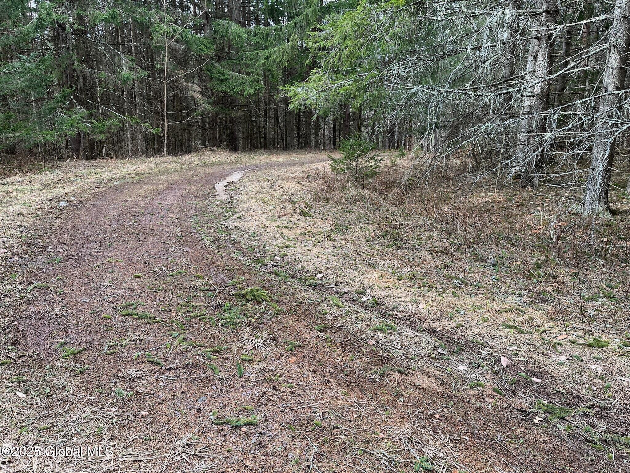 L9 Laura Ln #L9, Middleburgh, New York image 5