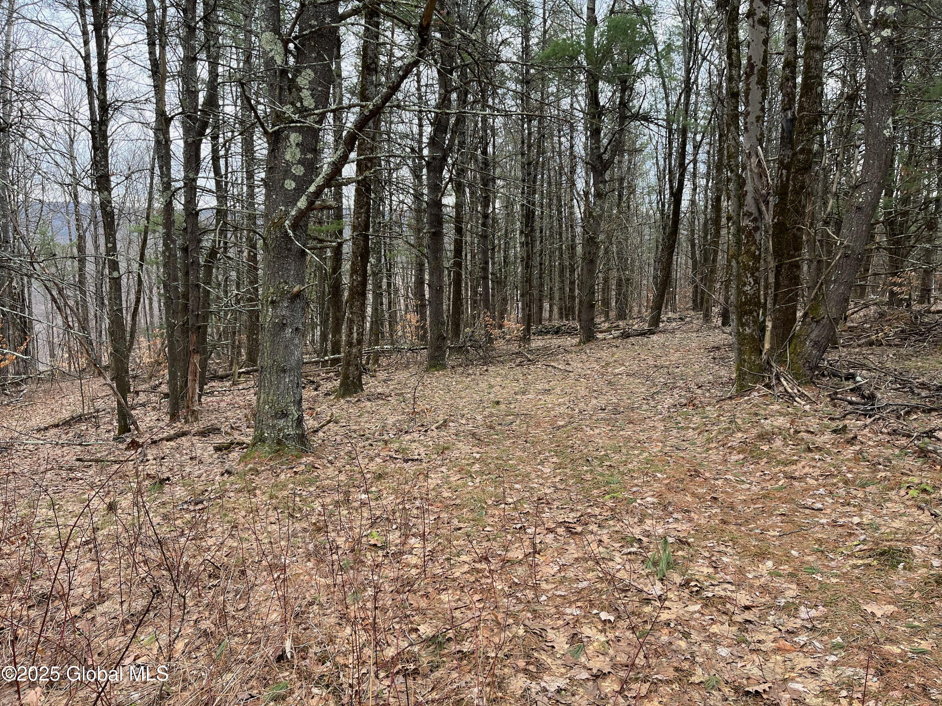 L9 Laura Ln #L9, Middleburgh, New York image 1