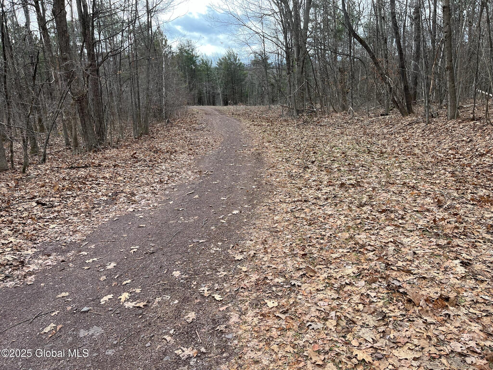 L9 Laura Ln #L9, Middleburgh, New York image 9