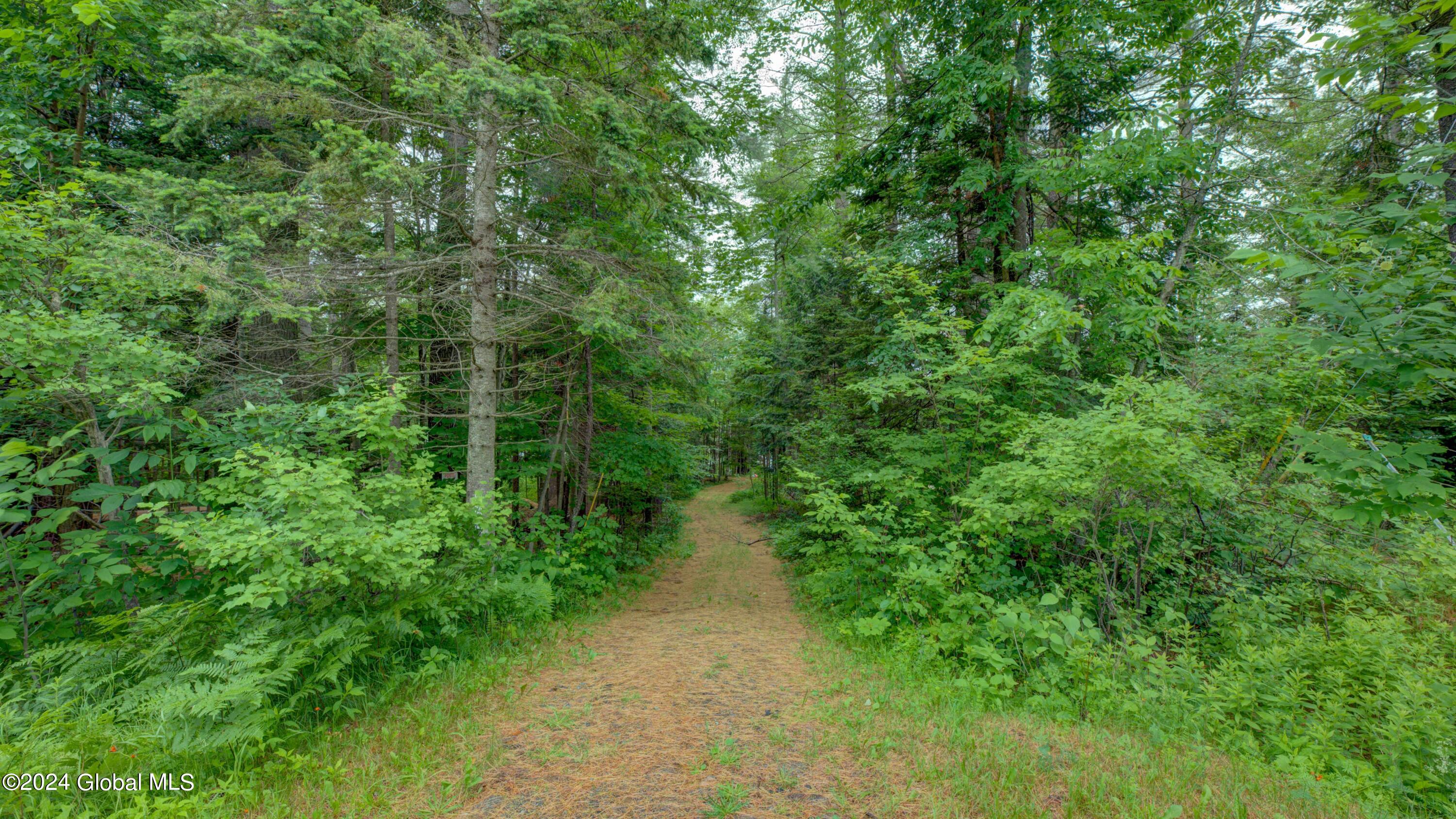 2769 Ny-8 #2, Speculator, New York image 16
