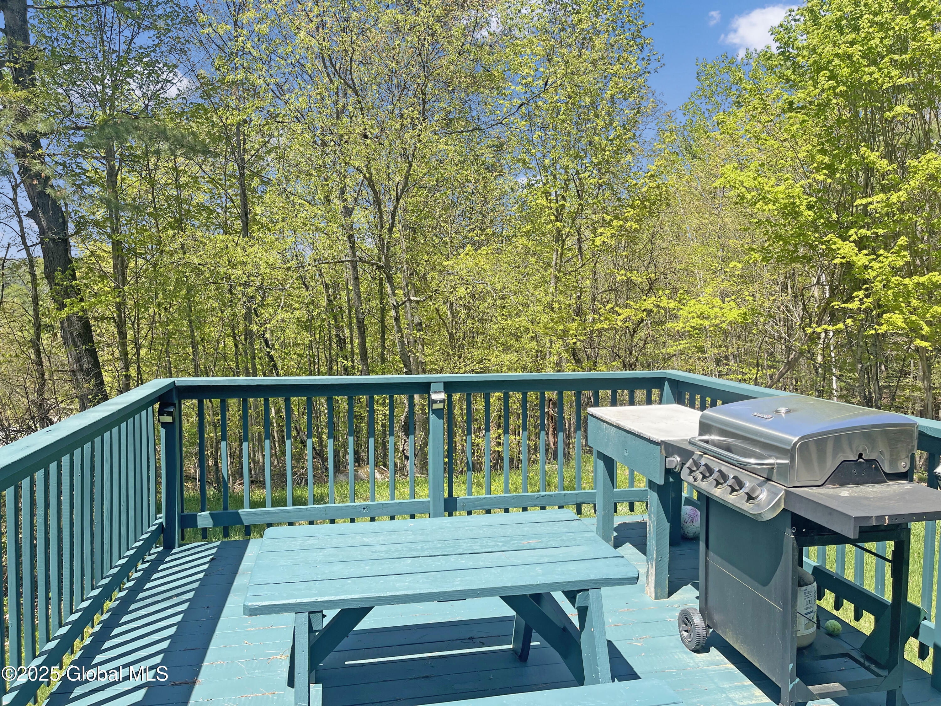 69 Duell Hill Road, Brant Lake, New York image 20