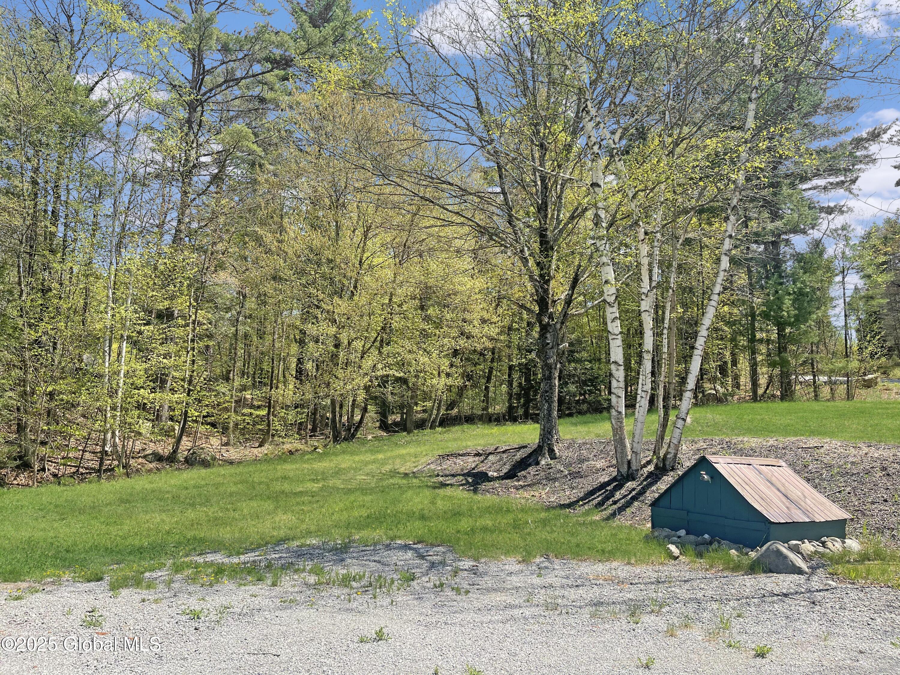 69 Duell Hill Road, Brant Lake, New York image 6