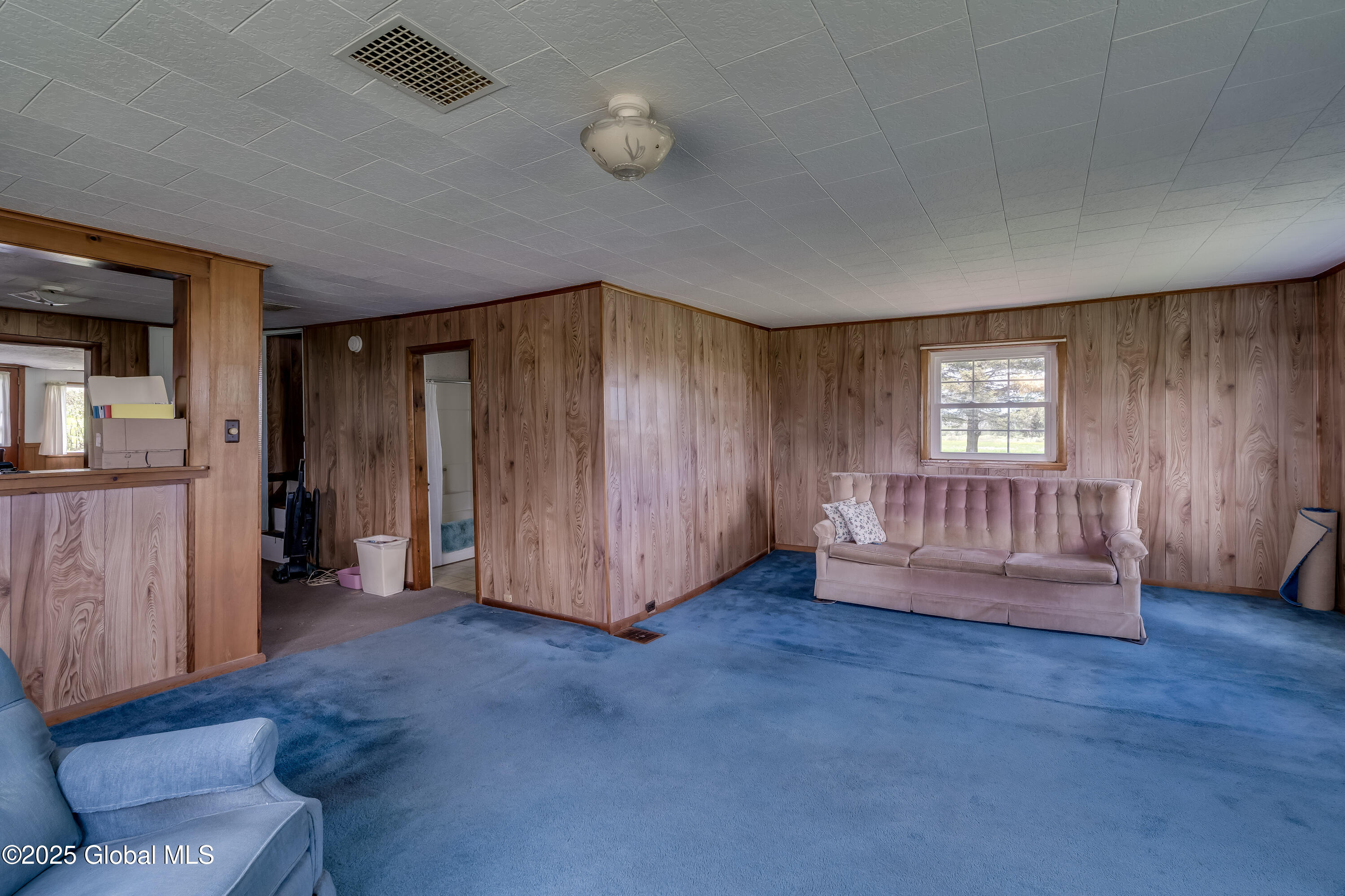 1536 Pinckney Road, Copenhagen, New York image 9