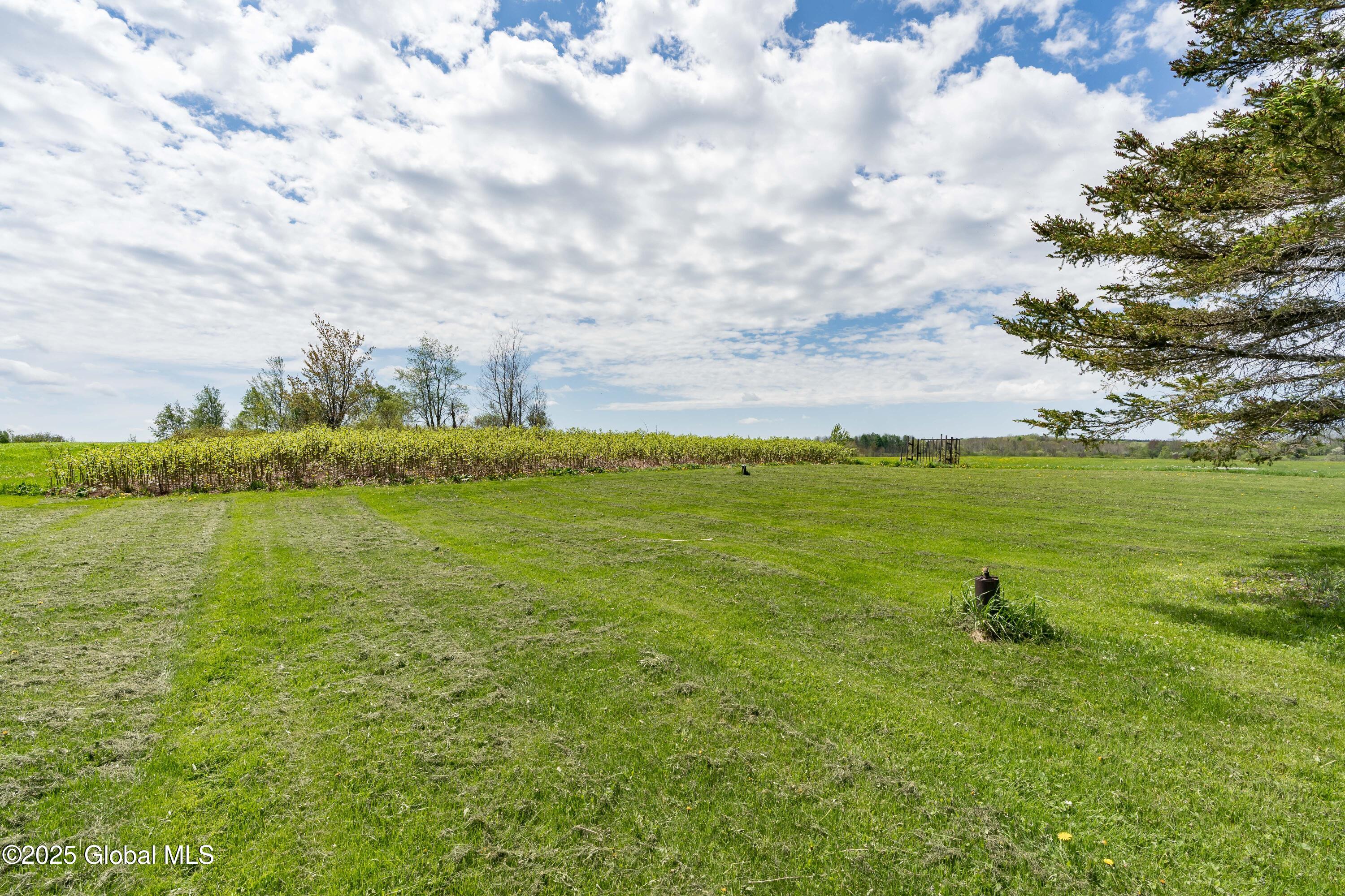 1536 Pinckney Road, Copenhagen, New York image 6