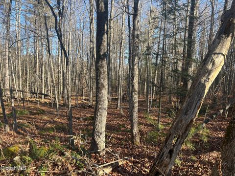 Homes For Sale - 3171 Ny-8<br/> Johnsburg, NY 12843