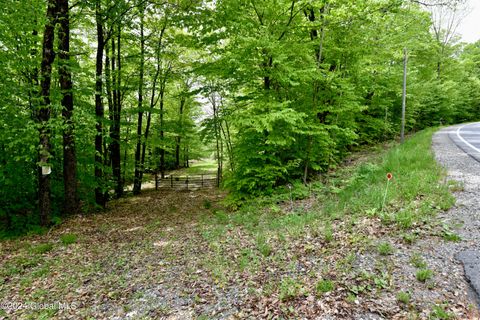 Vacant Land For Sale - 430 Lake Desolation Road<br/> Middle Grove, NY 12850