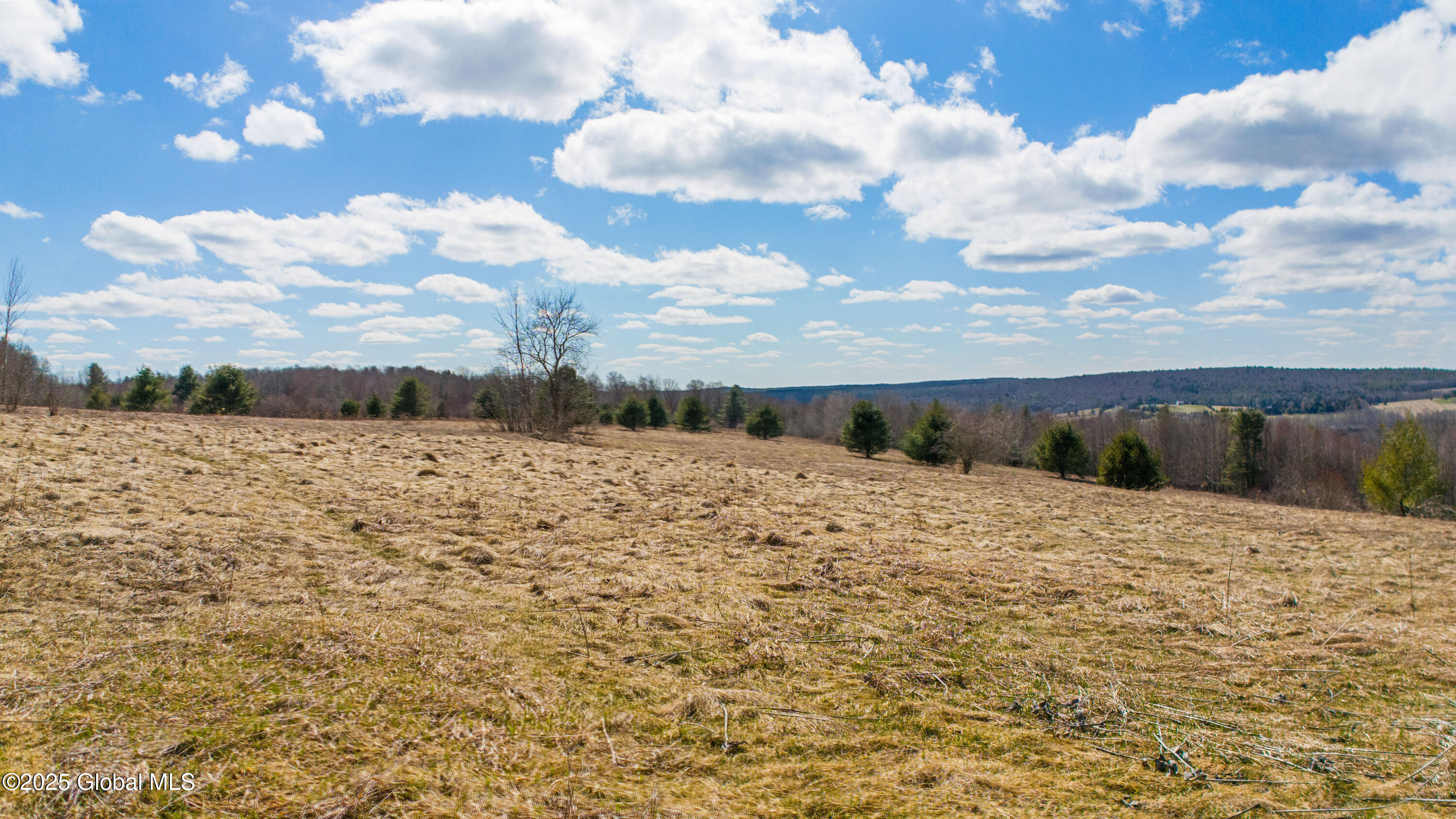 186 Chamberlin Road, Maryland, New York image 11