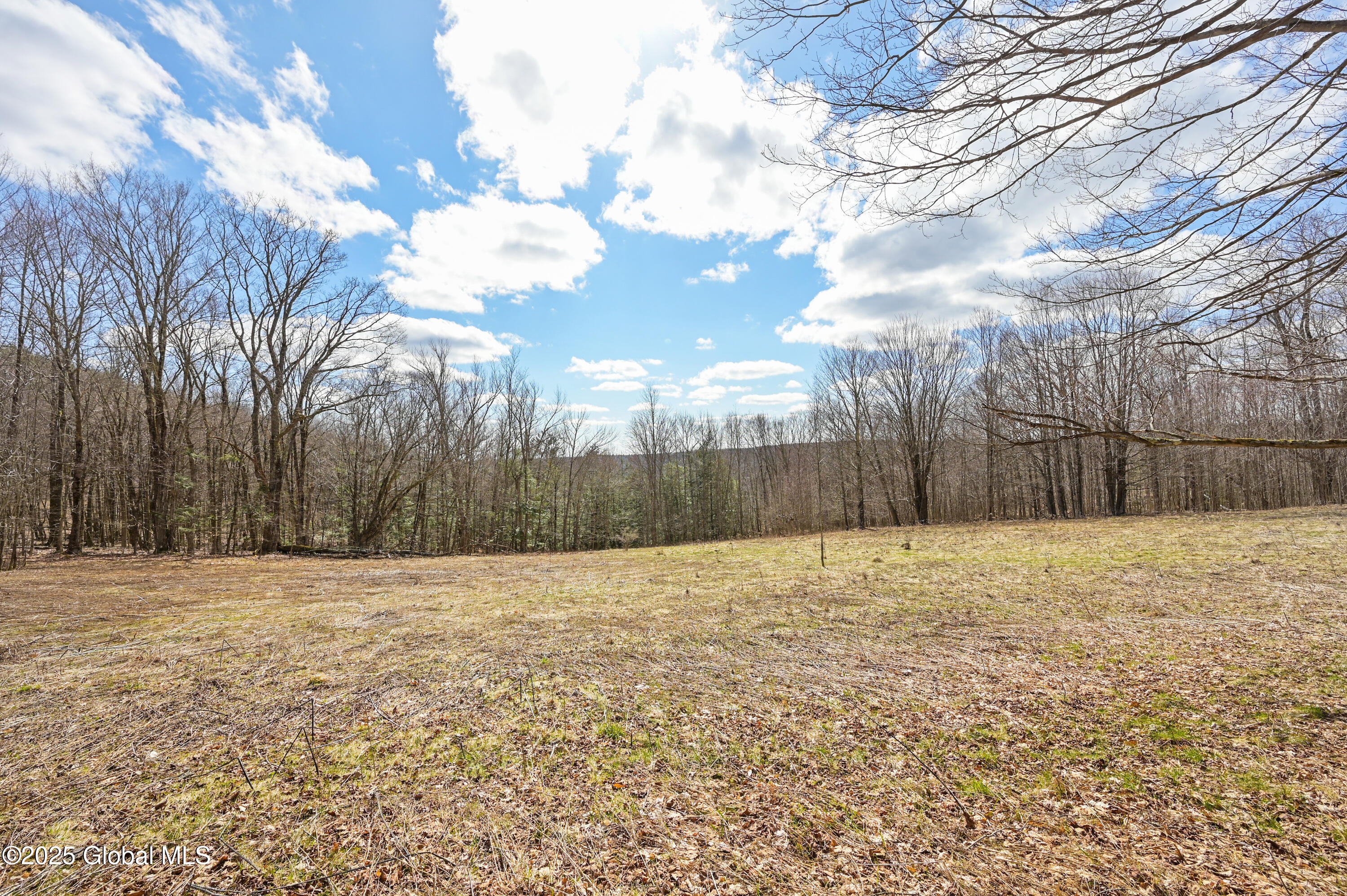 186 Chamberlin Road, Maryland, New York image 41
