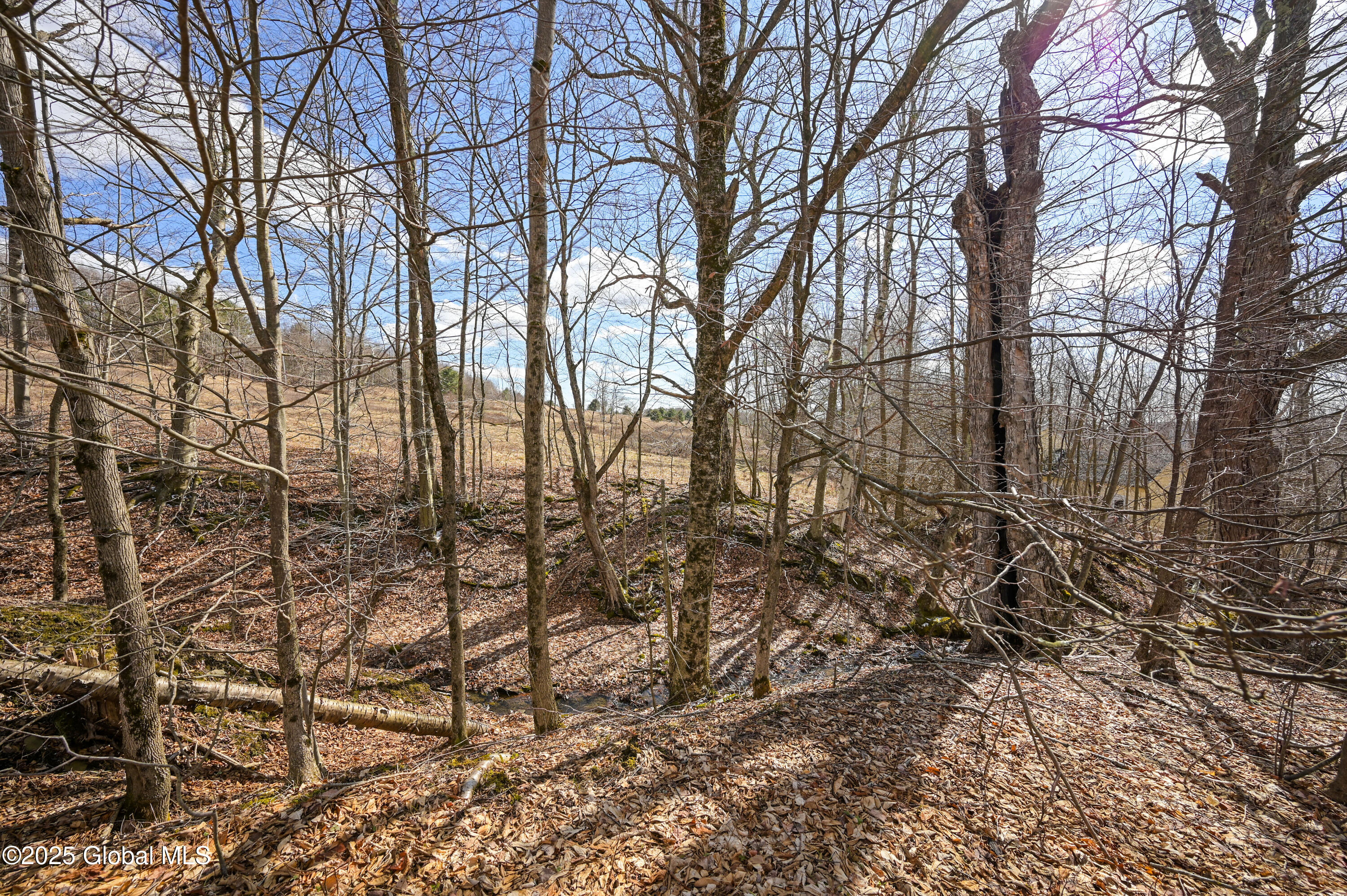 186 Chamberlin Road, Maryland, New York image 42