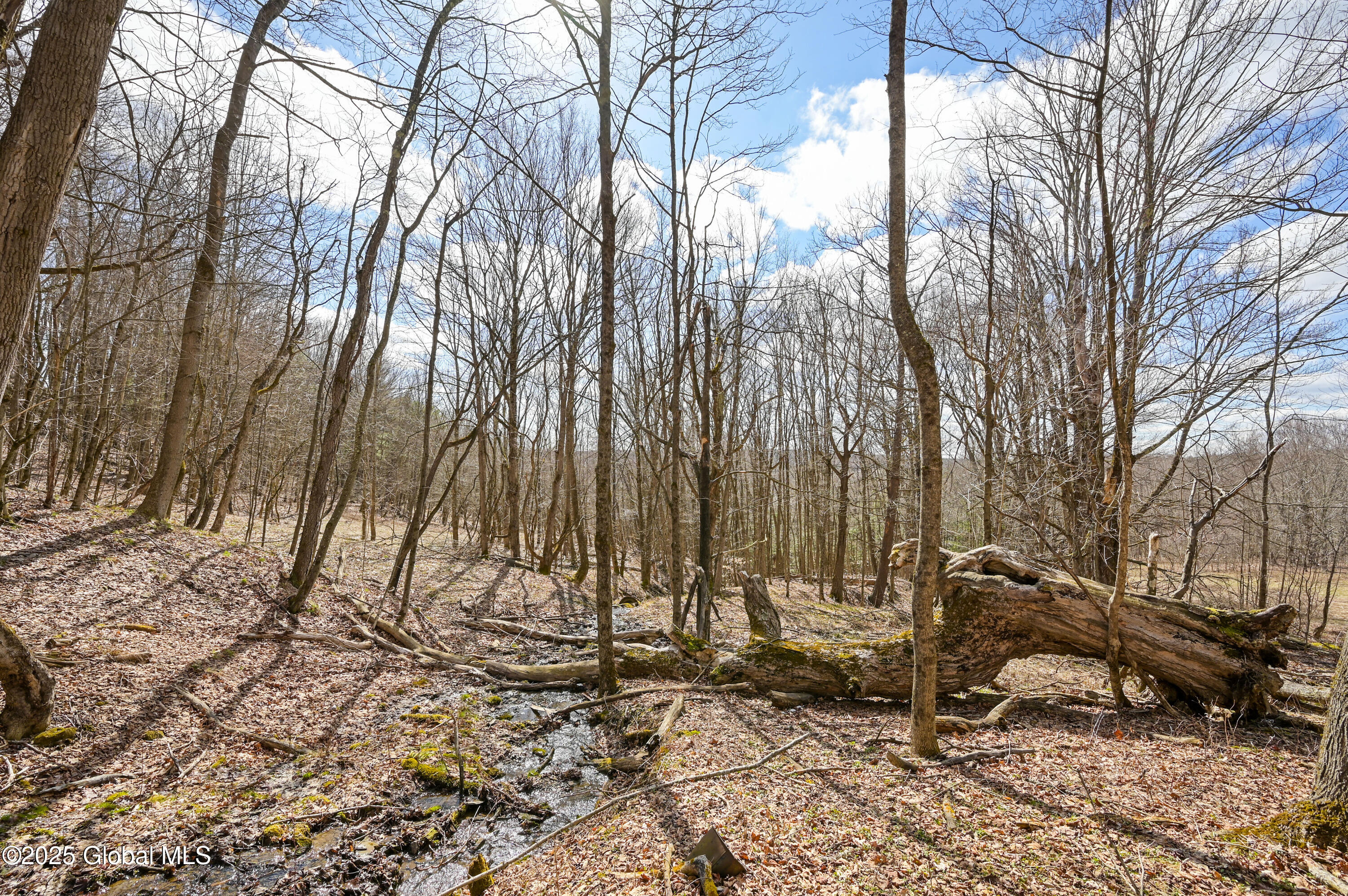 186 Chamberlin Road, Maryland, New York image 4