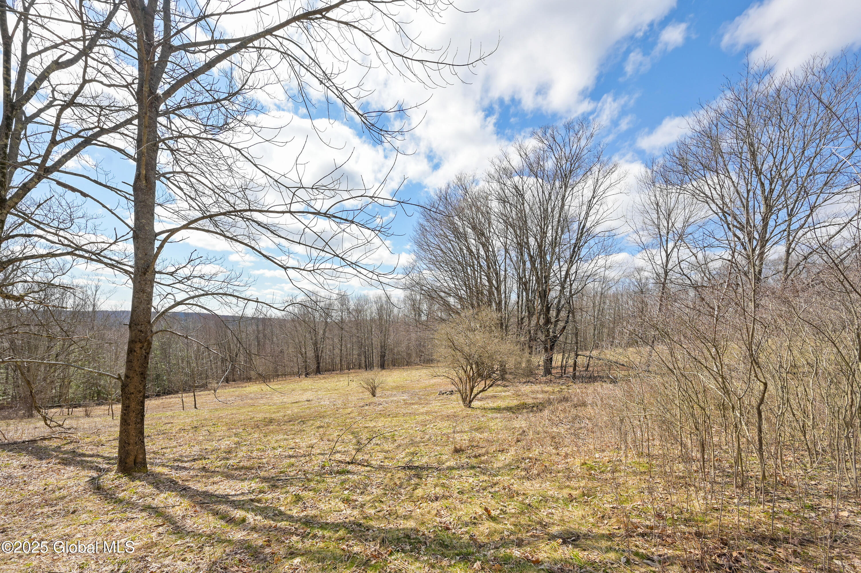 186 Chamberlin Road, Maryland, New York image 22