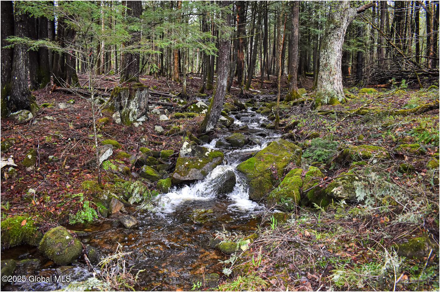 1290 Valentine Pond Road, Adirondack, New York image 2