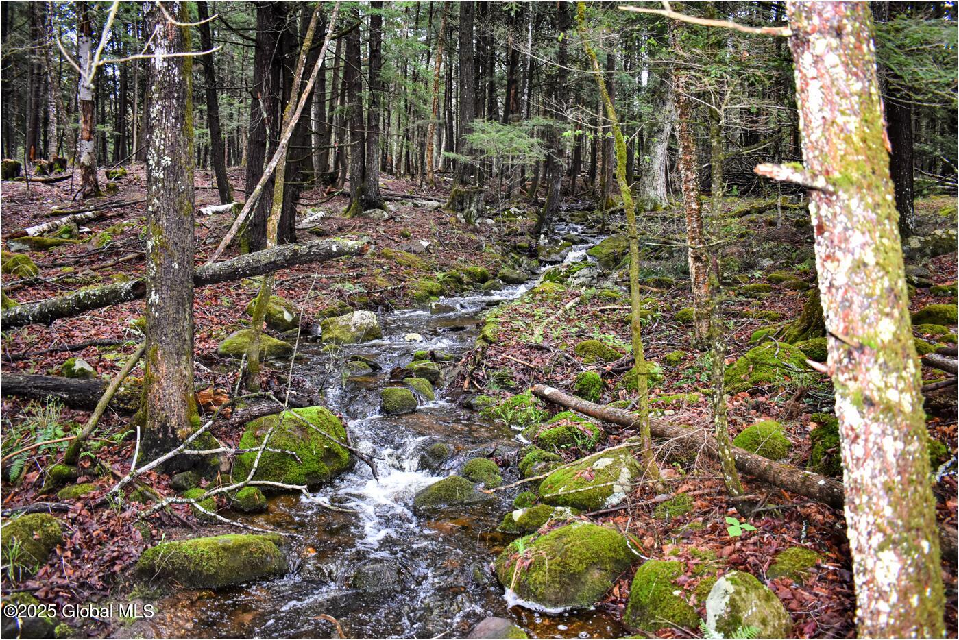 1290 Valentine Pond Road, Adirondack, New York image 3