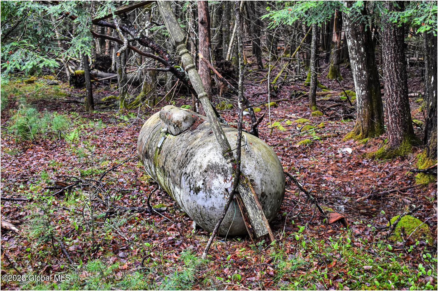 1290 Valentine Pond Road, Adirondack, New York image 4