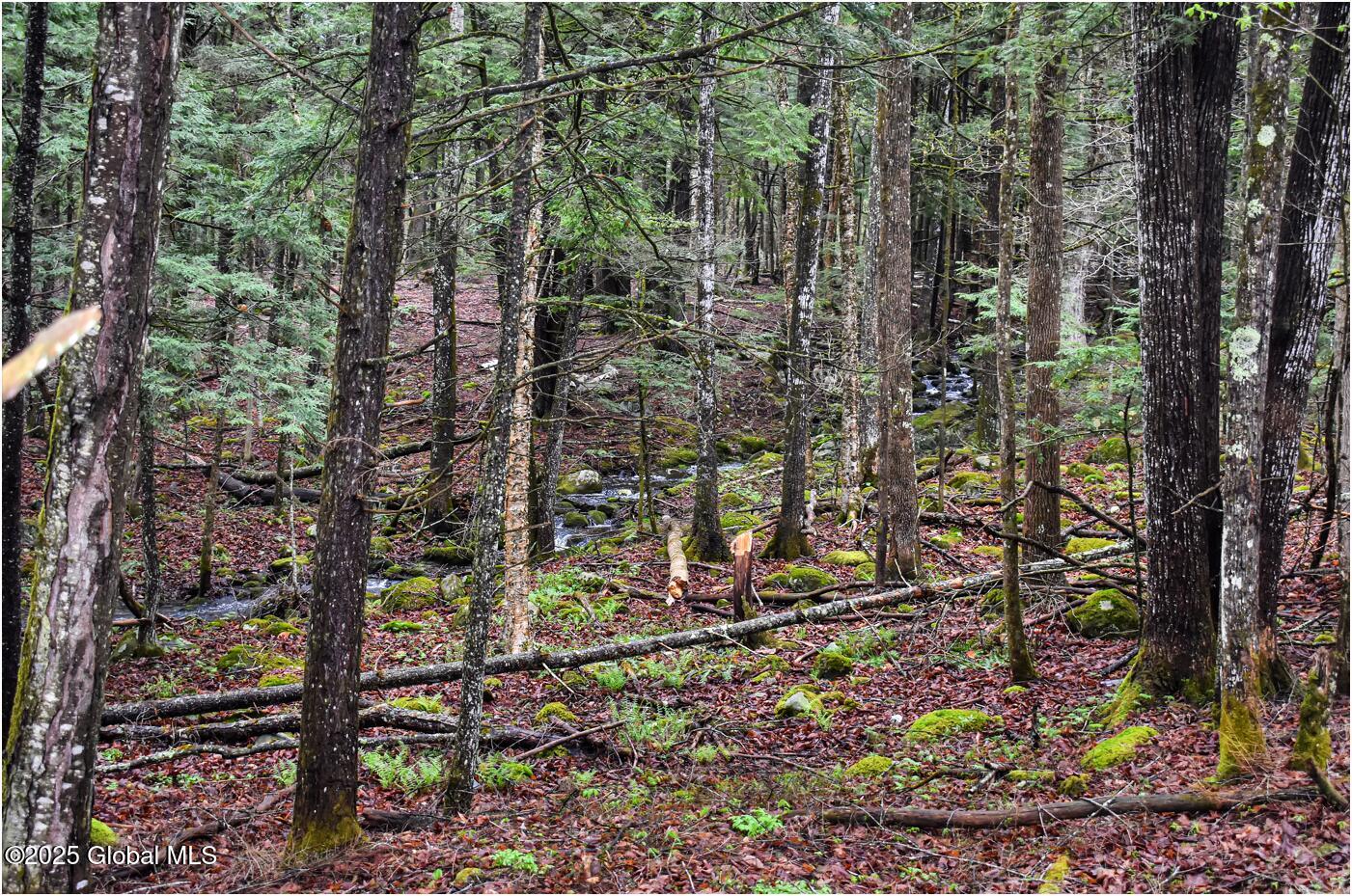 1290 Valentine Pond Road, Adirondack, New York image 11