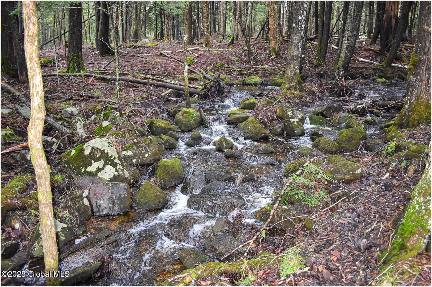 1290 Valentine Pond Road, Adirondack, New York image 6