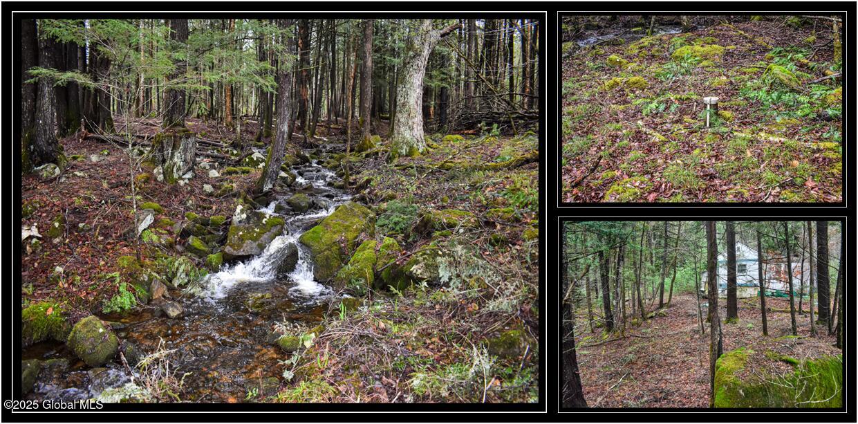 1290 Valentine Pond Road, Adirondack, New York image 1